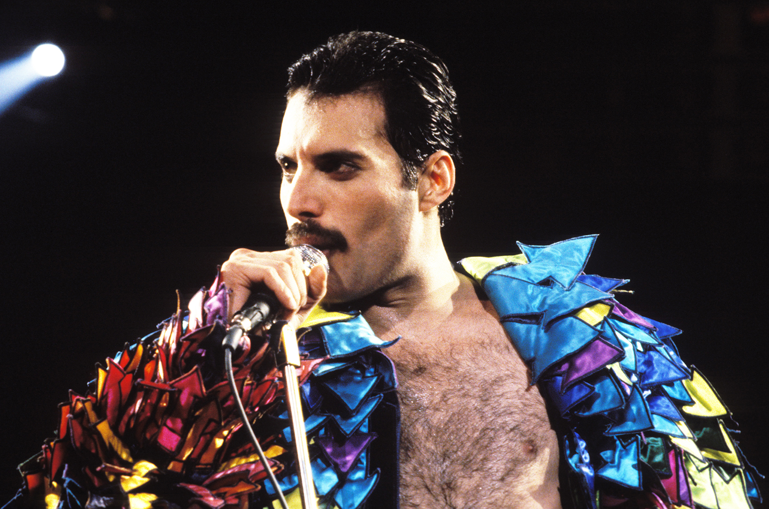 Best-bets for Aug. 26: Freddie, lions and teen terror